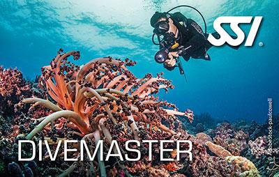 Divemaster - Certificazione Scuba